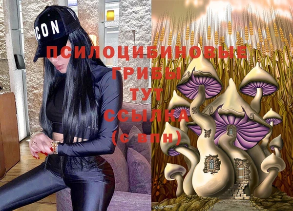 мескалин Алексин
