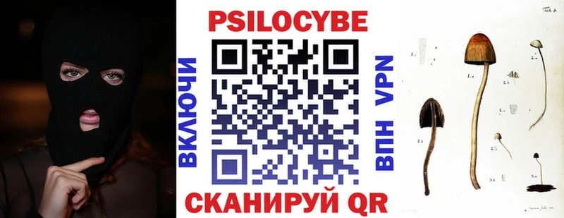 shop формула  Чёрмоз  Галлюциногенные грибы мухоморы  OMG ССЫЛКА 